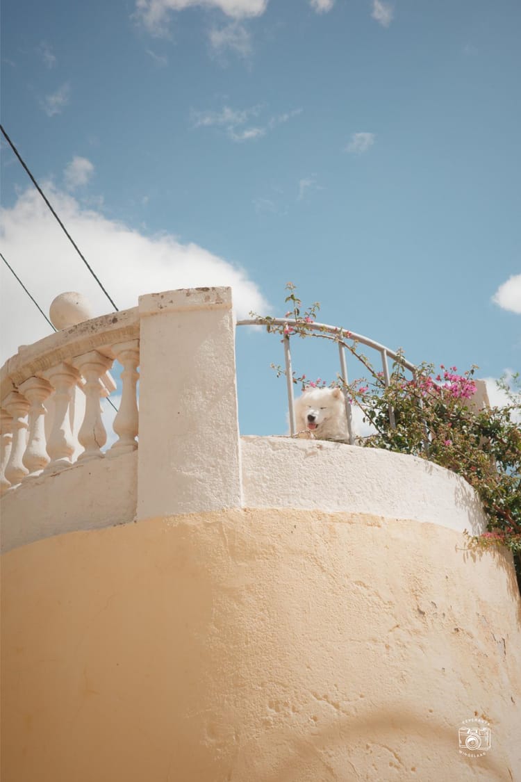 Dagboek van het dagelijks leven