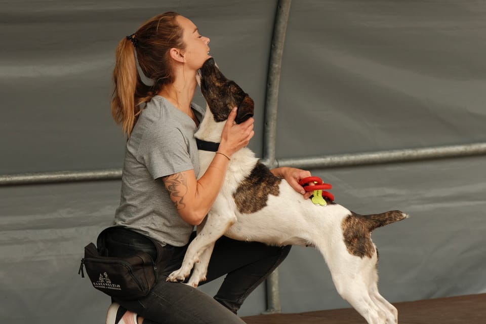 Even kijken in het dierenasiel